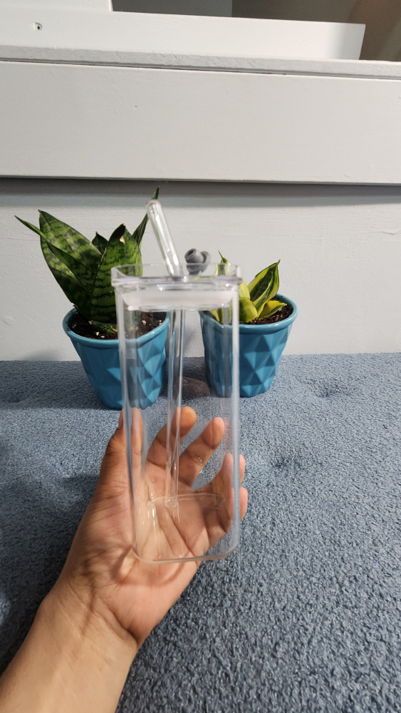 Clear Reusable Glass Tumbler with Straw