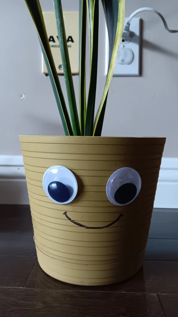 (best offer) Snake plant in googly eye pot 🪴 🧡 thumbnail