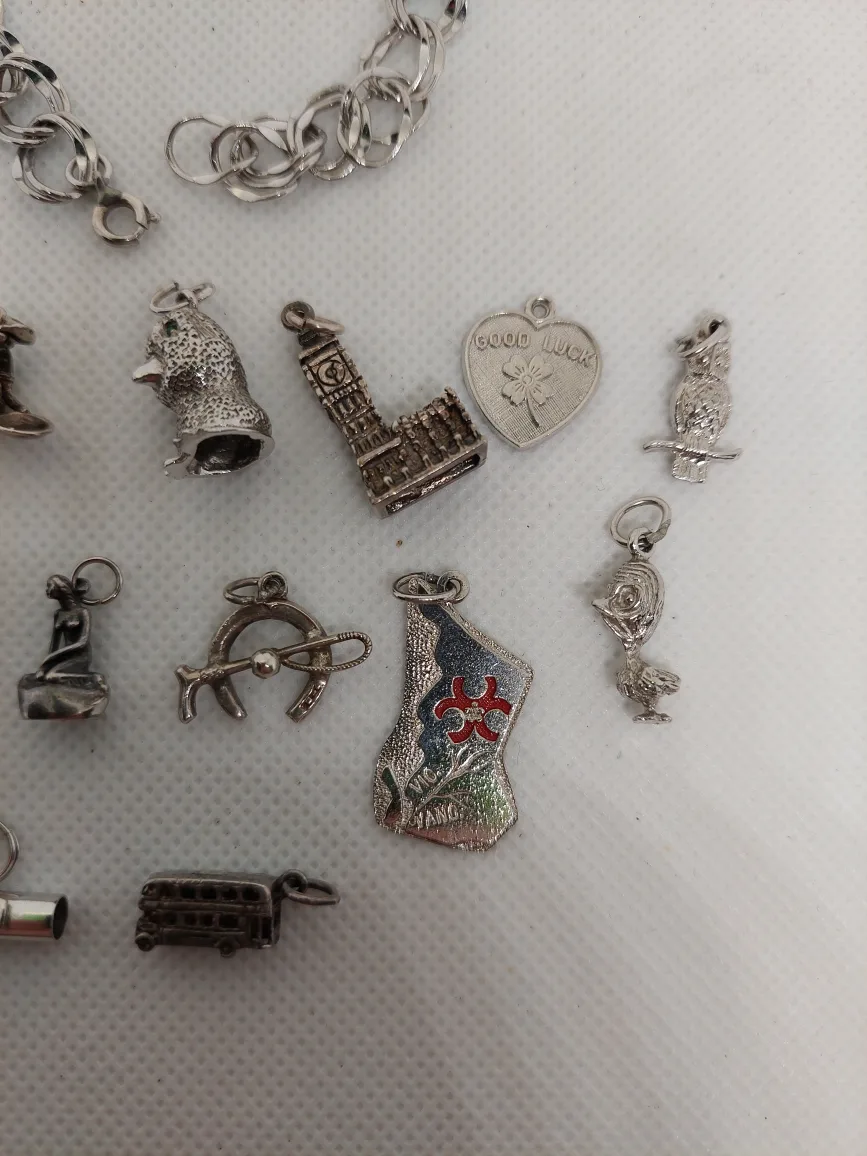925 Sterling Silver charms image indicator(3)