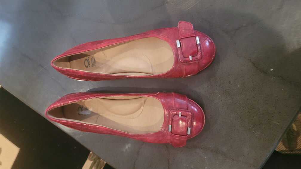 Ladies, dressed shoes #freecycle#
