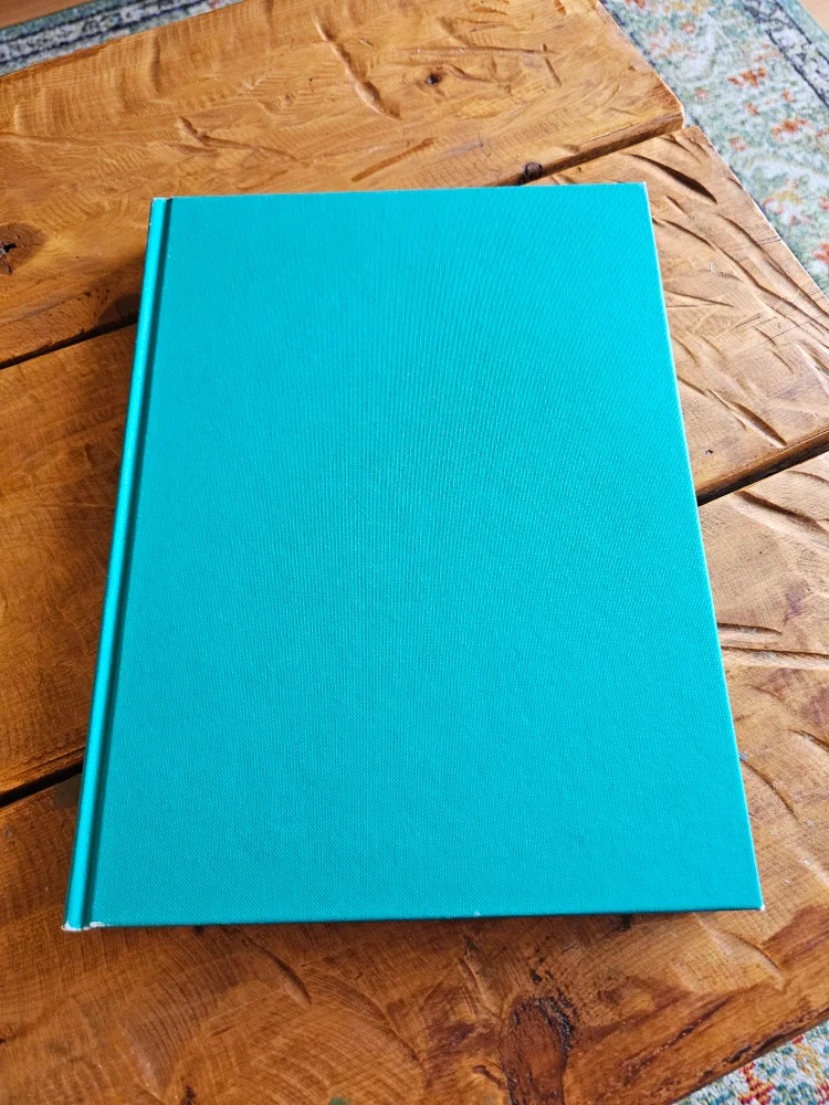 Stylists: New Fashion Visionaries Book image indicator(2)