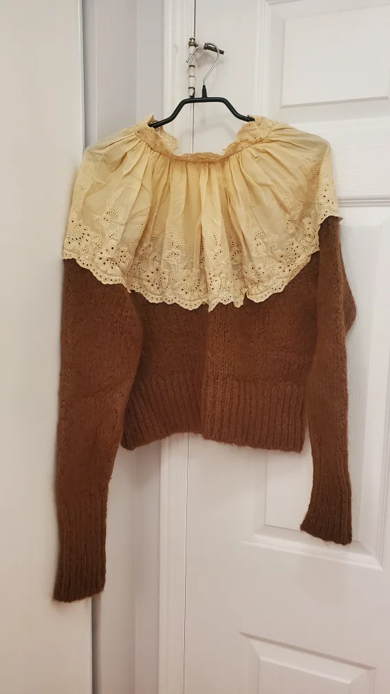 Brown and Beige Knit Sweater with Lace Detail image indicator(2)