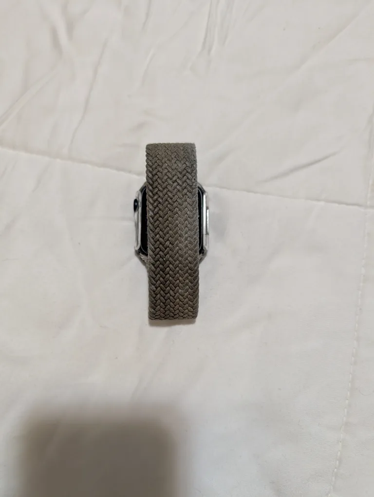 Apple Watch Series 4 image indicator(3)