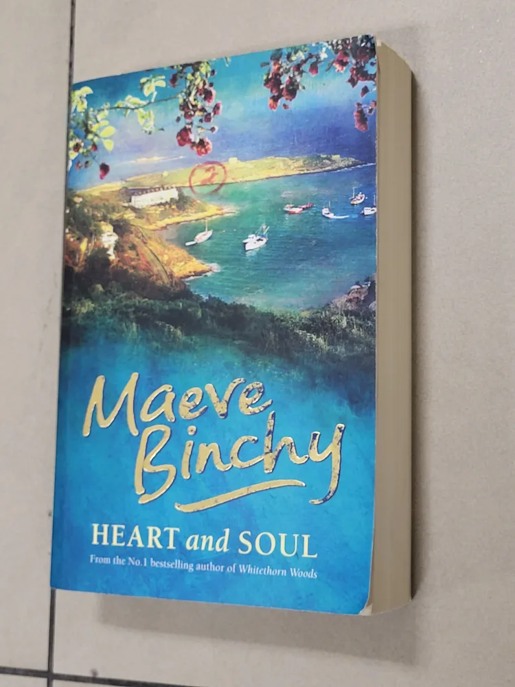 ❤️Heart and Soul by Maeve Binchy Paperback Book image indicator(2)