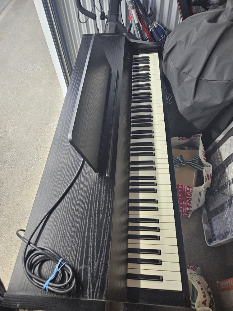 Viscount Digital Piano - photo 3