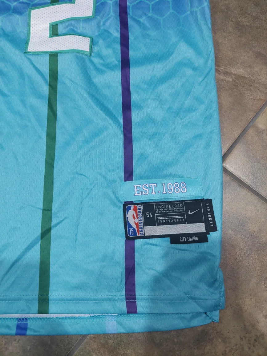 New Nike NBA Charlotte Hornets LaMelo Ball Jersey Size XXL image indicator(2)