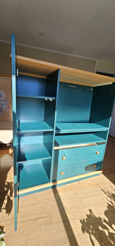 Teal Entertainment Unit with Cabinet - photo 4