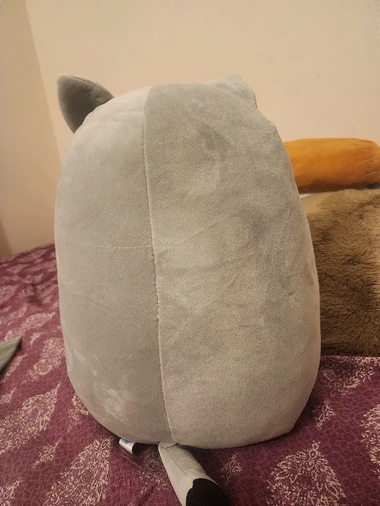 Grey Squishmallow Cat Plush Toy image indicator(2)