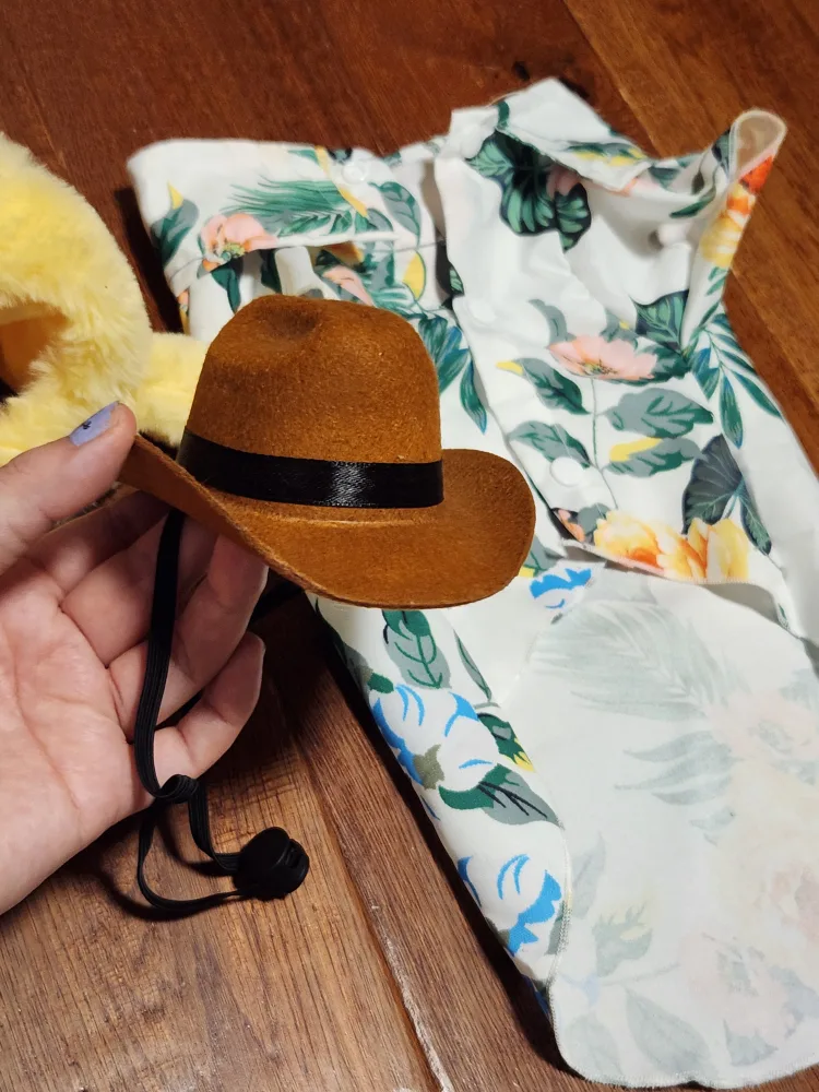 Pet Costume Set Hats Shirt for Cat Dog image indicator(2)