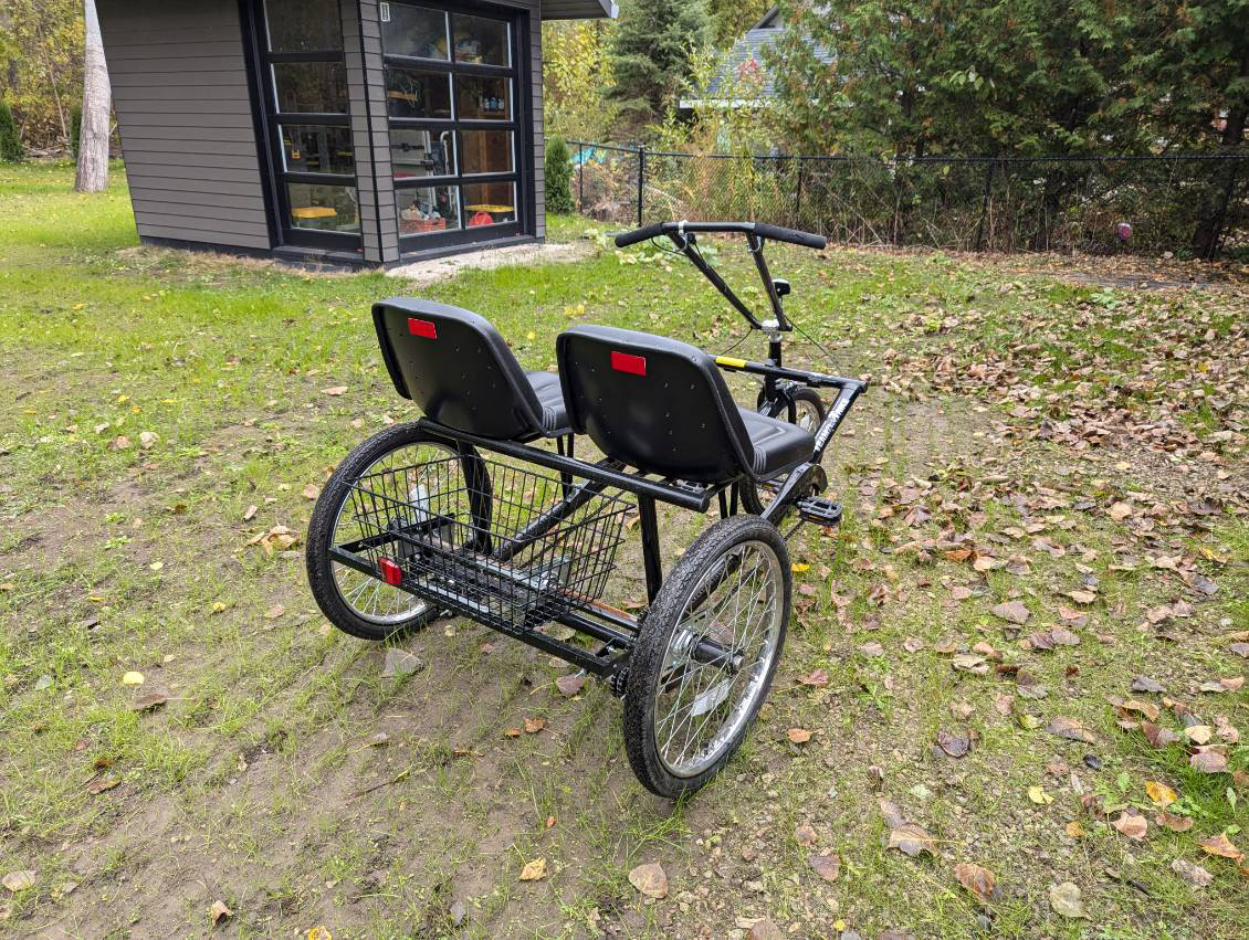 Workman Cycles Team Pedal Trike - photo 4