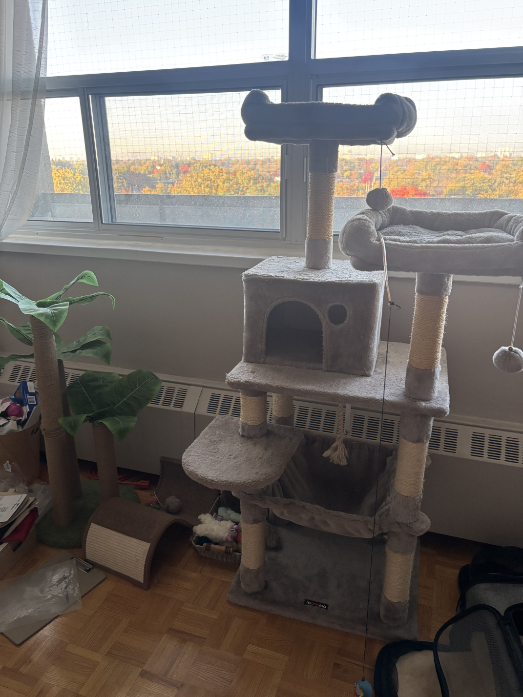 Cat Tower