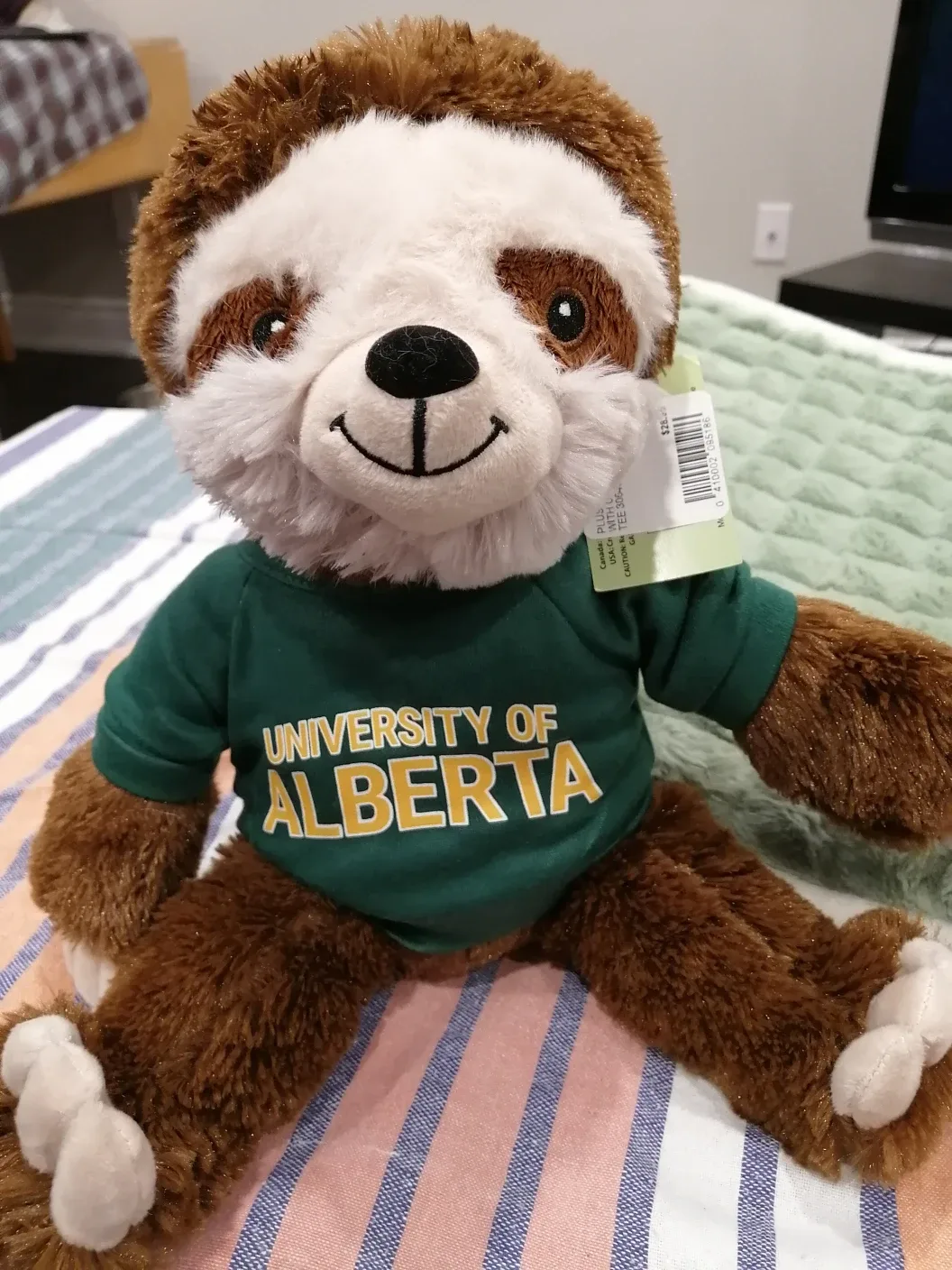 University of Alberta Plush Bear, Moose and Sloth image indicator(4)