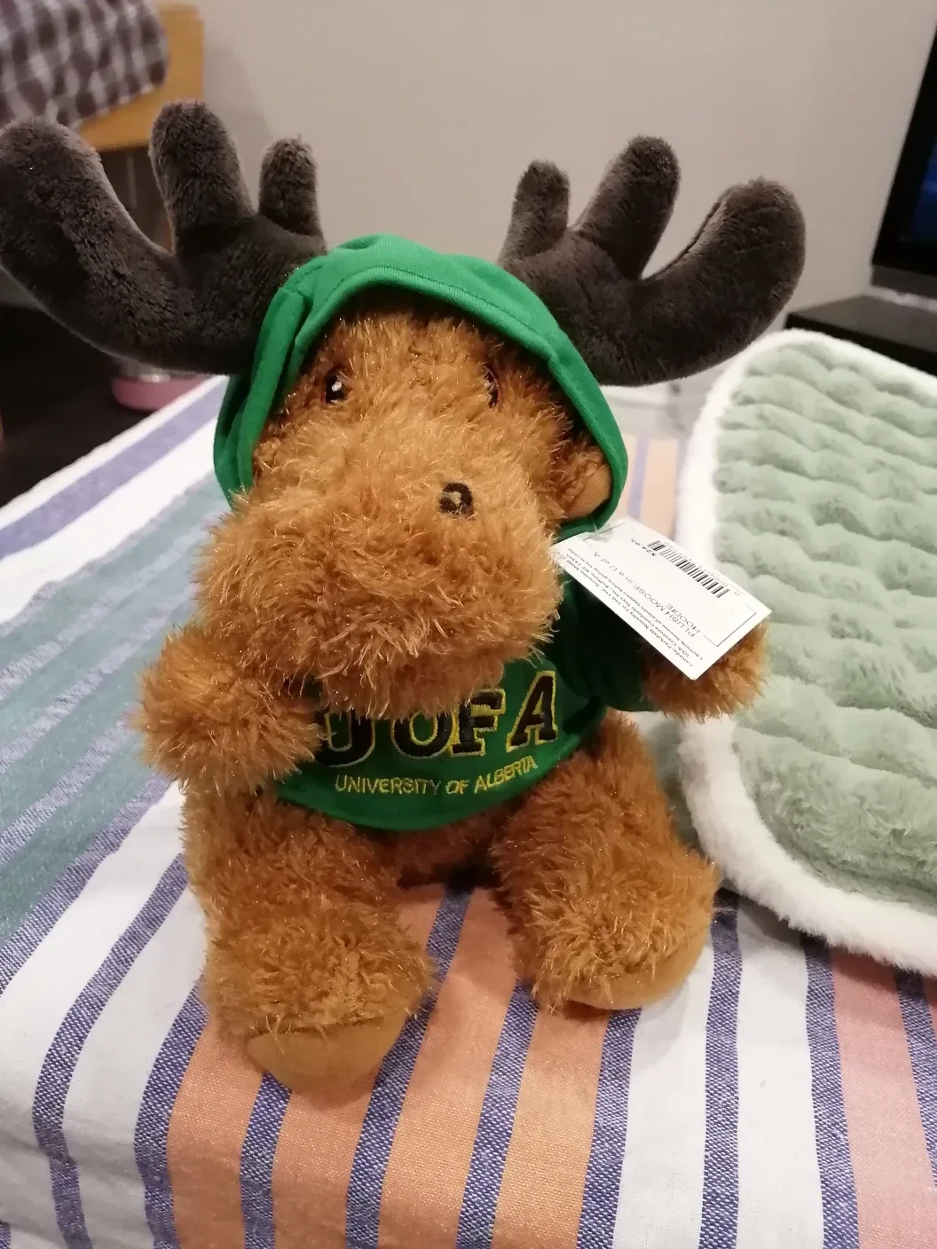 University of Alberta Plush Bear, Moose and Sloth image indicator(6)