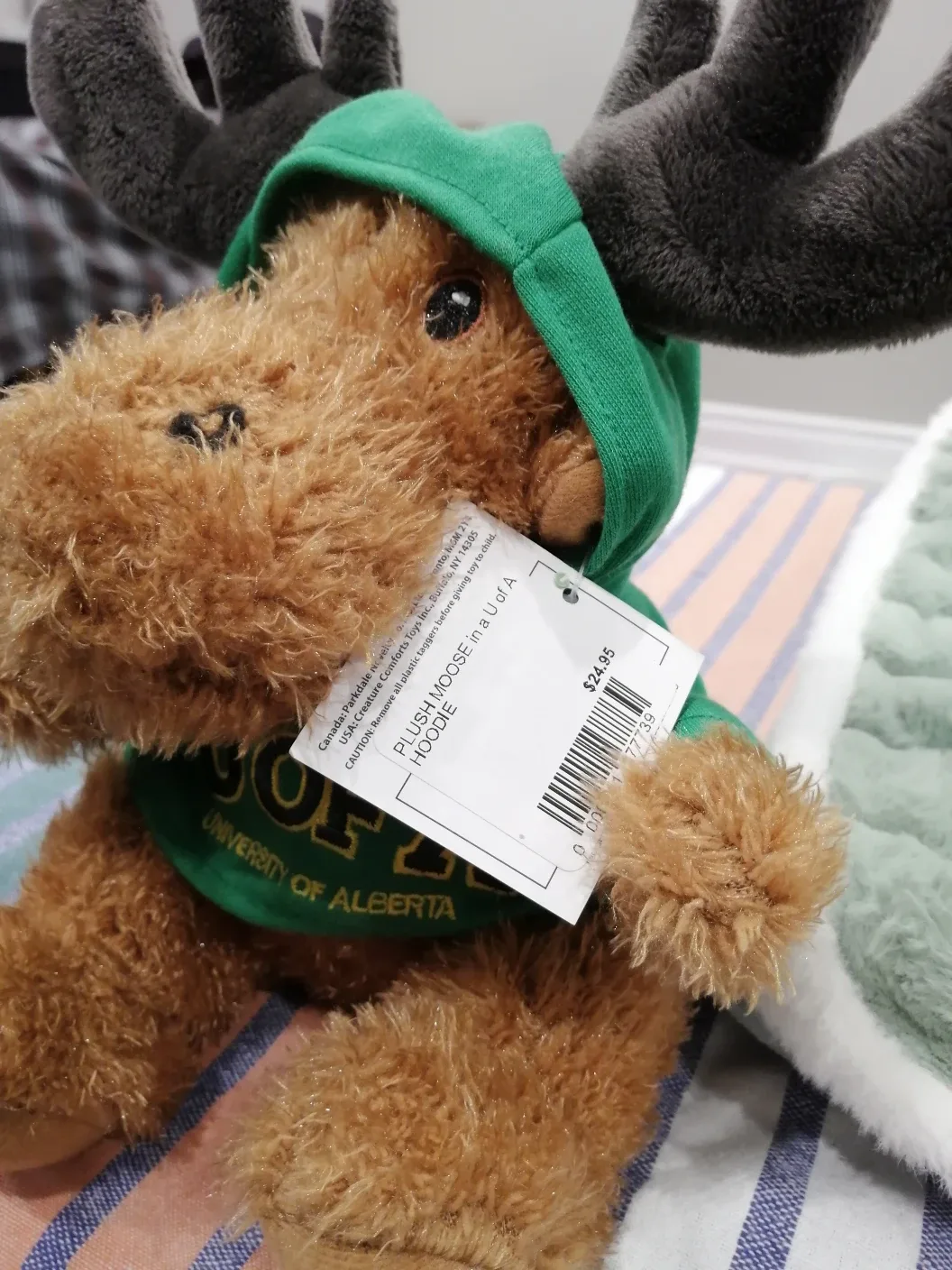 University of Alberta Plush Bear, Moose and Sloth image indicator(7)