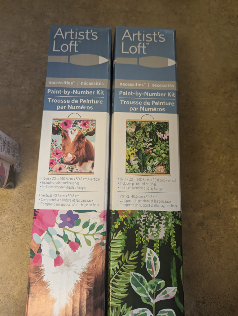 Artist's Loft Paint-by-Number Kits (2 Pack)