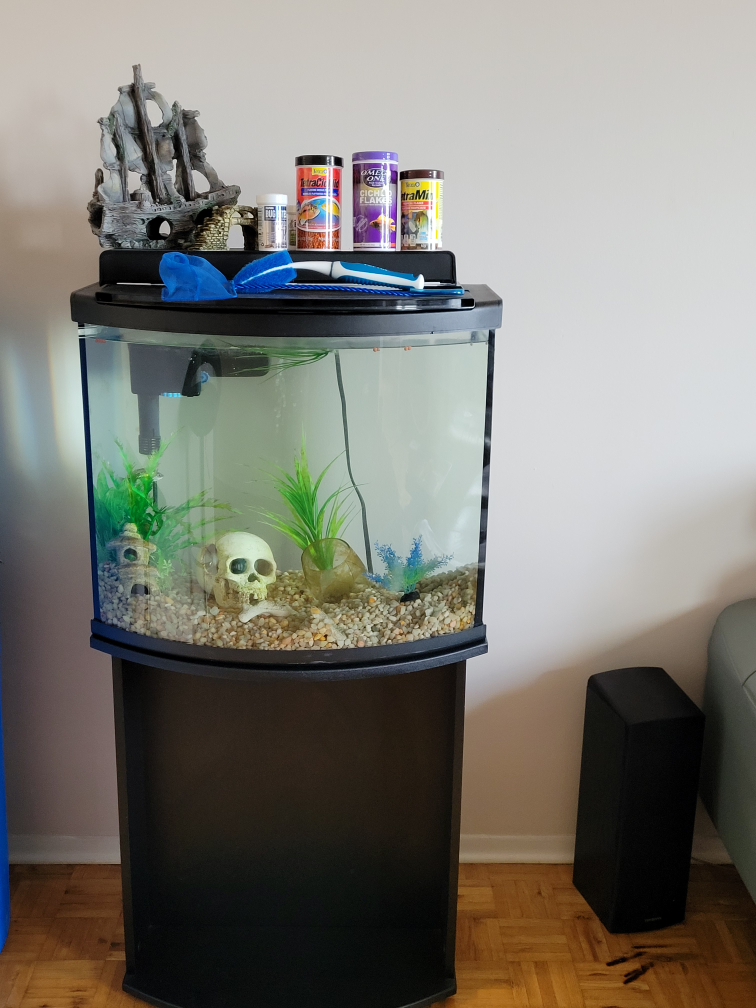 29 gallon bowfront Aquarium with Stand - photo 4