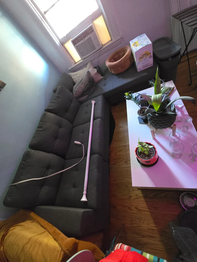 Sectional Sofa 🥕 thumbnail