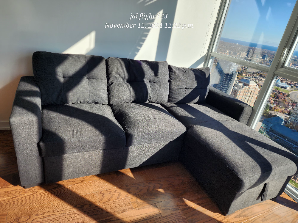 Grey Sectional Sofa cum bed with storage