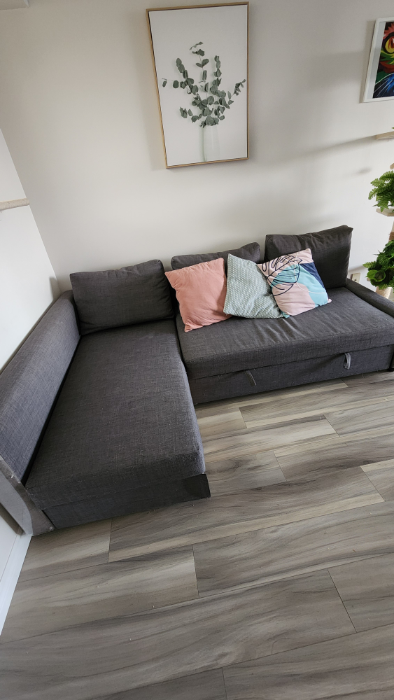 IKEA Friheten Sectional Sofa Bed