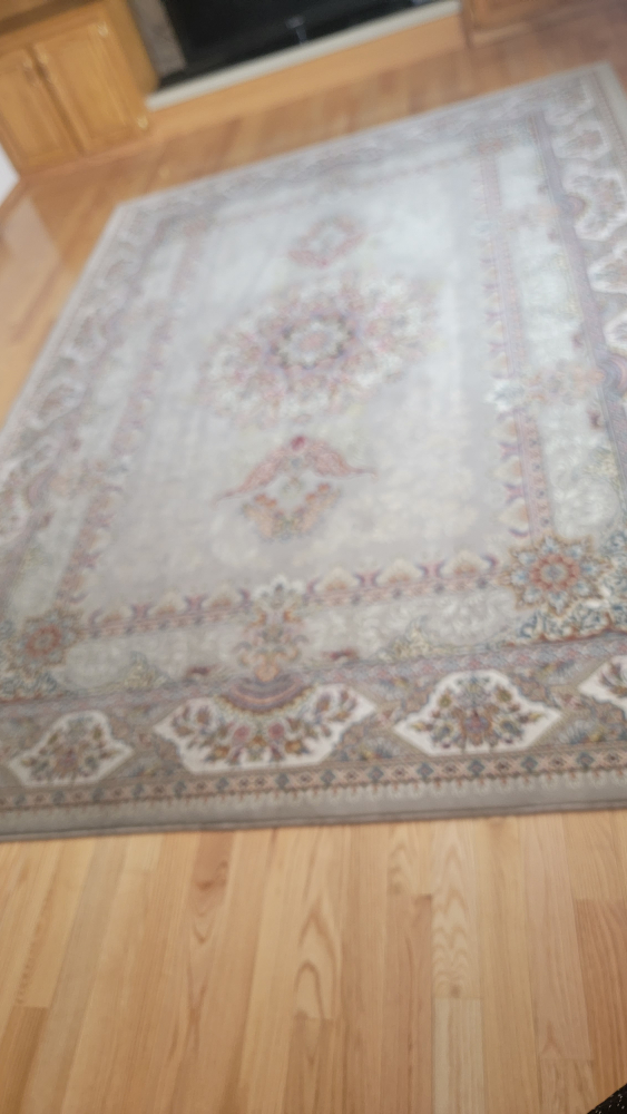 Irani Large Area Rug - photo 2