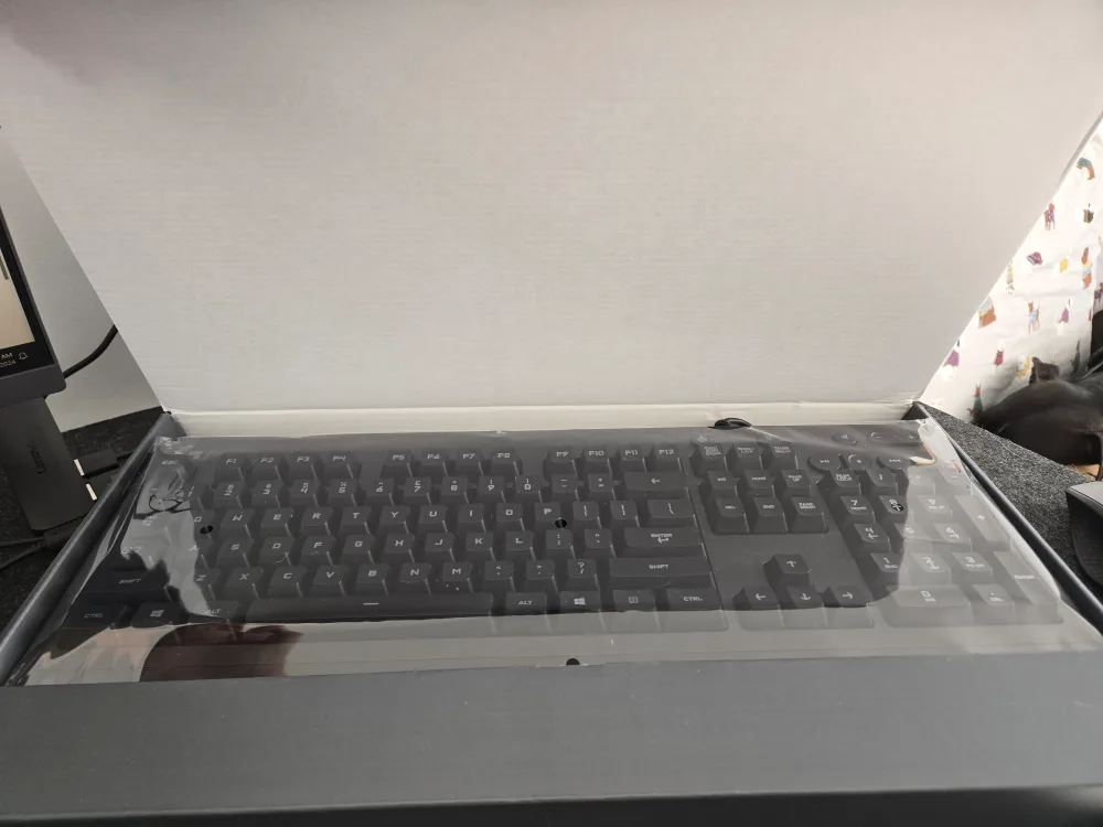 Logitech G213 Prodigy Gaming Keyboard image indicator(2)