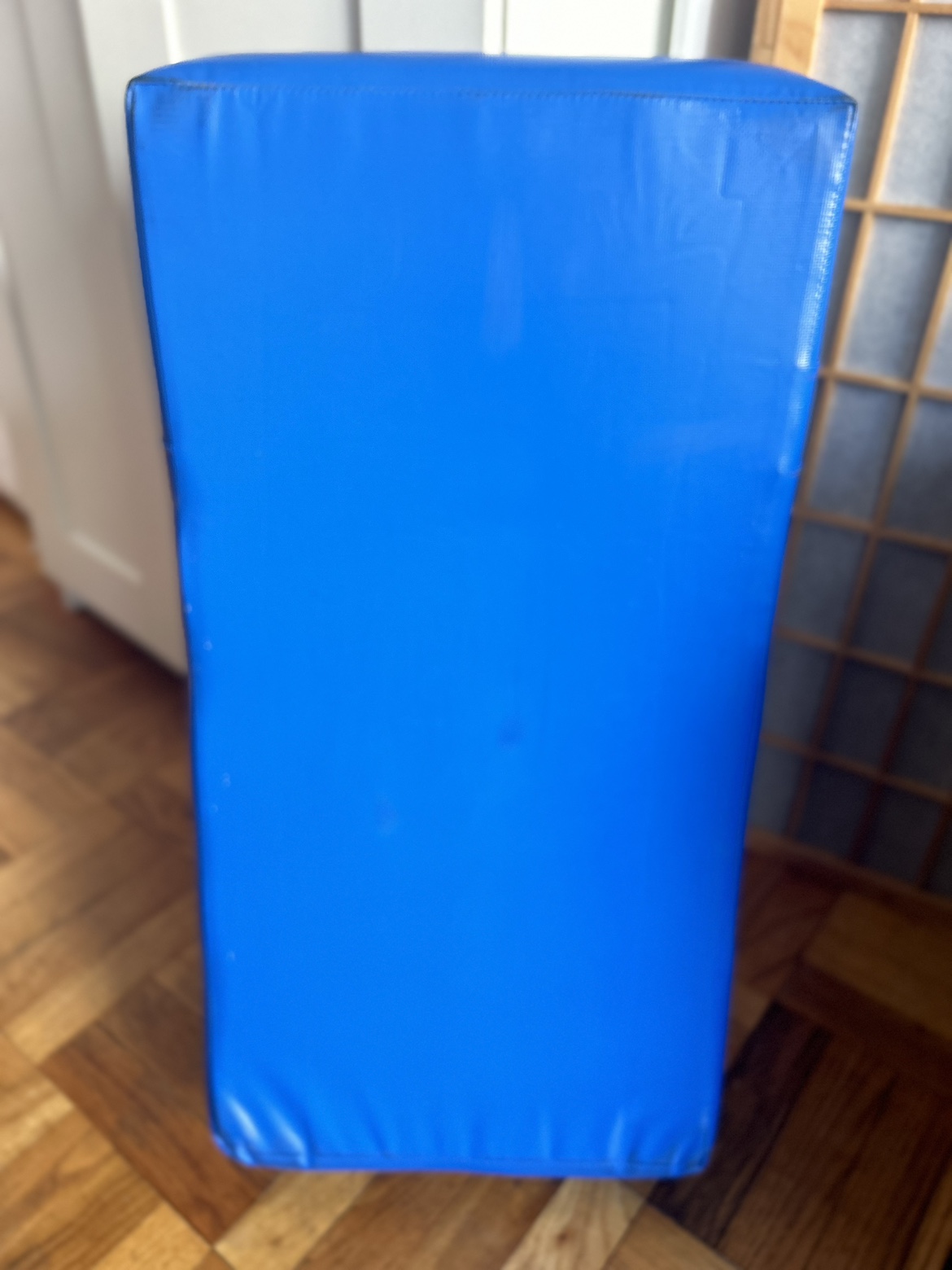 Martial arts curved kick pad - photo 2