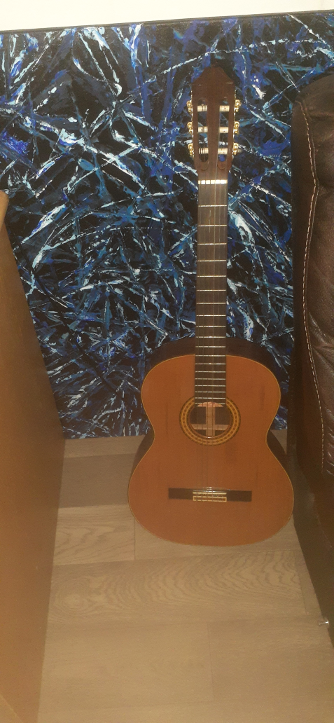 Guitar