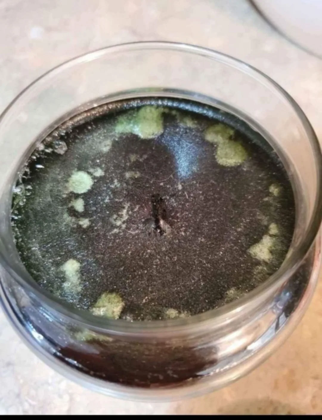 Yankee Candle Balsam & Cedar image indicator(2)