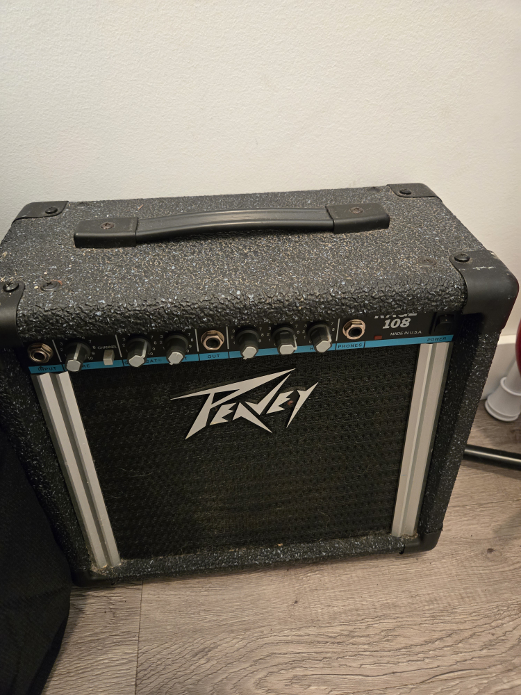 Electric Guitar and Amp - photo 3