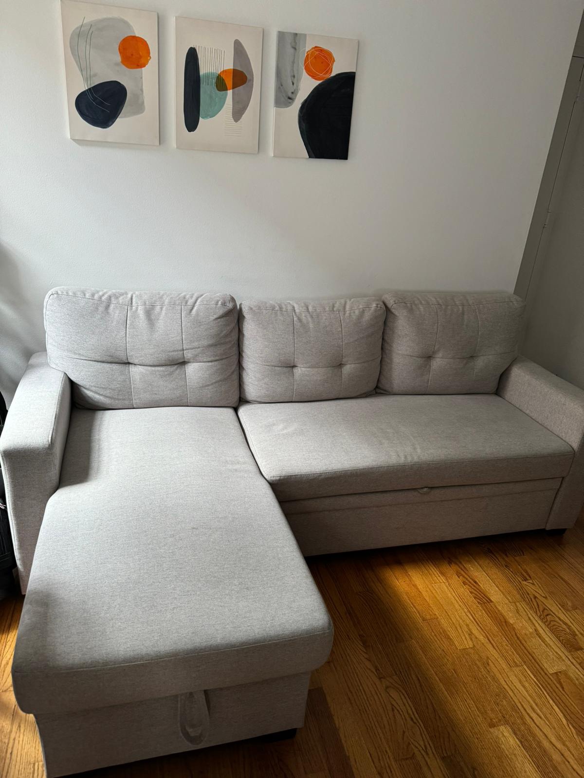 Sectional Sofa Bed