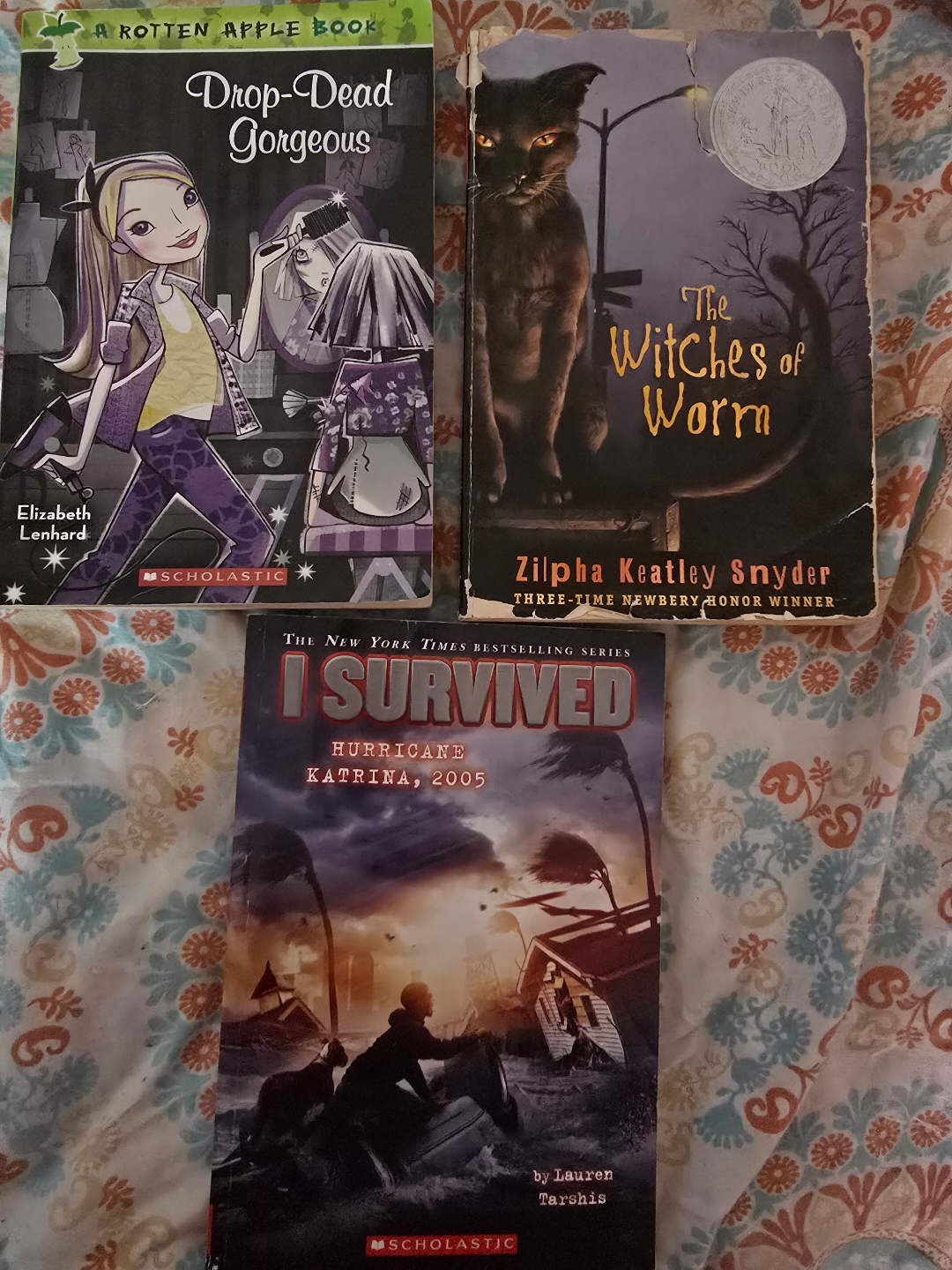 3 Scholastic Chapter Books #freecycle 🥕