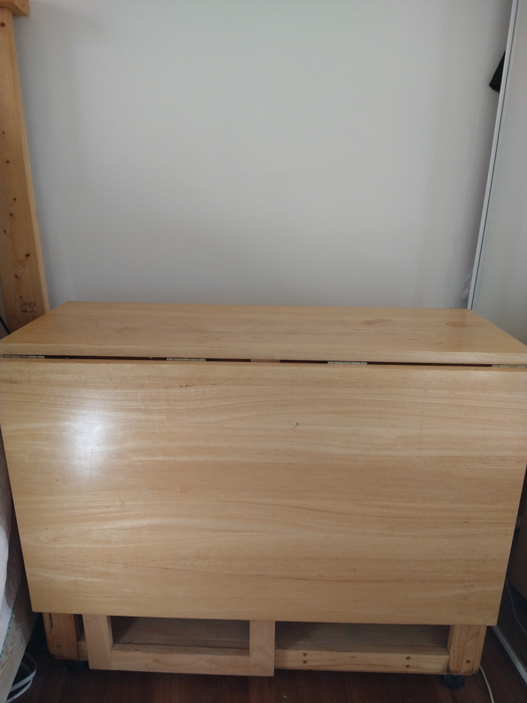 Folding Table with Storage