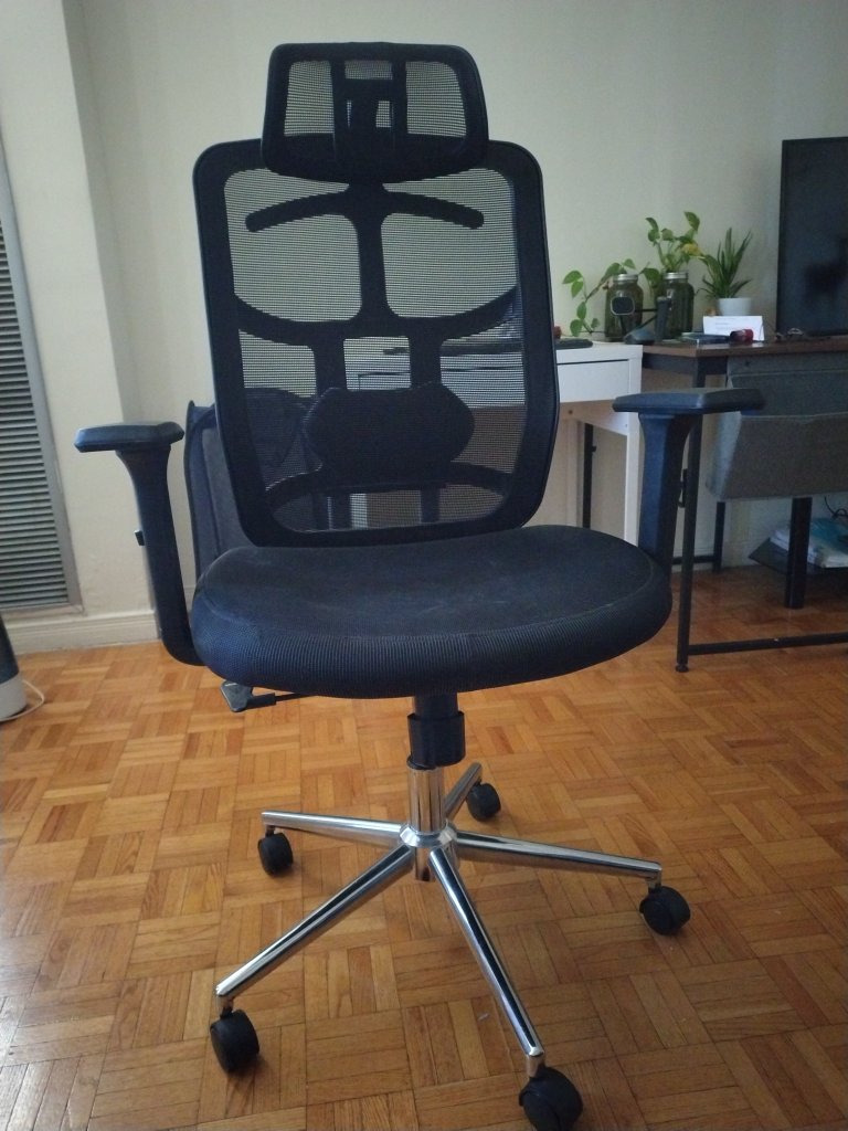 Ergonomic Office Chair with Headrest