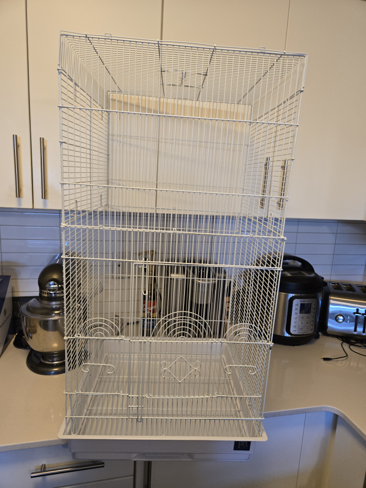 White Bird Cage - photo 2