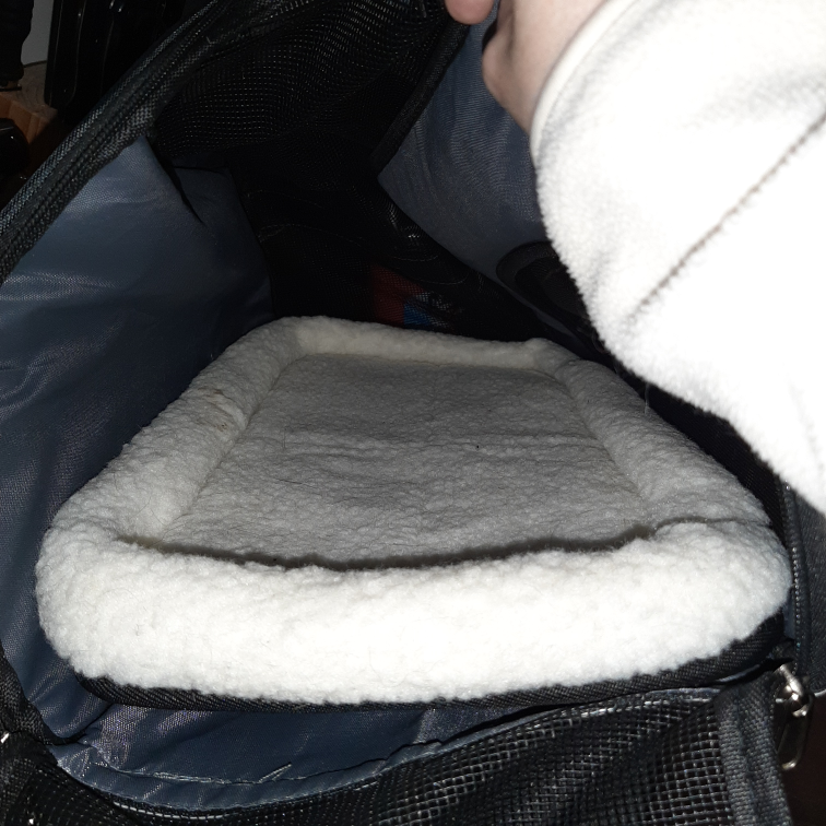 Pet Carrier - photo 3