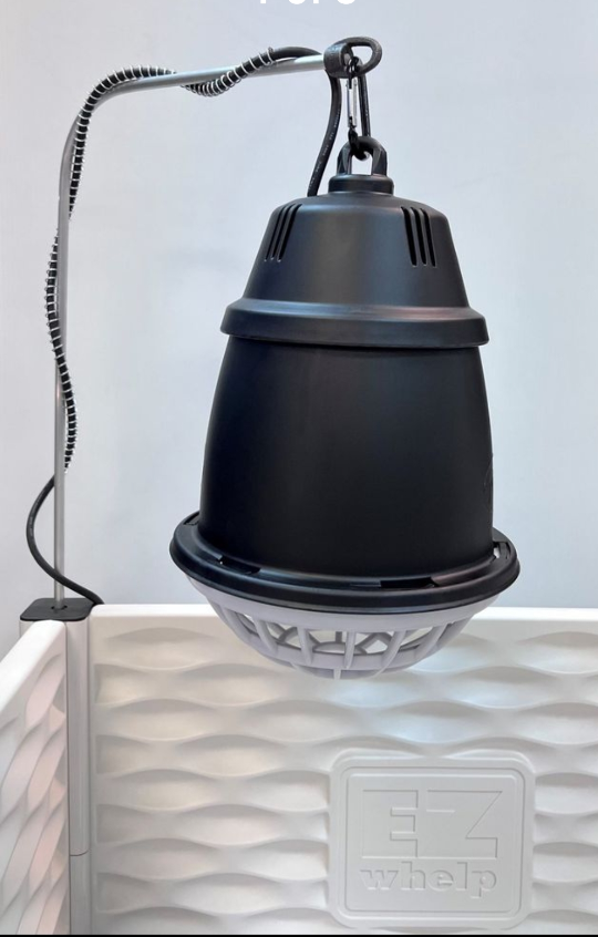 EZ Whelp Heat Lamp with Adjustable Stand