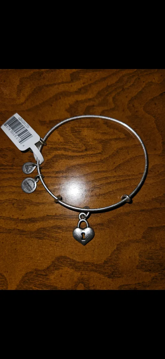 Alex and Ani Key to My Heart Bangle Bracelet image indicator(2)