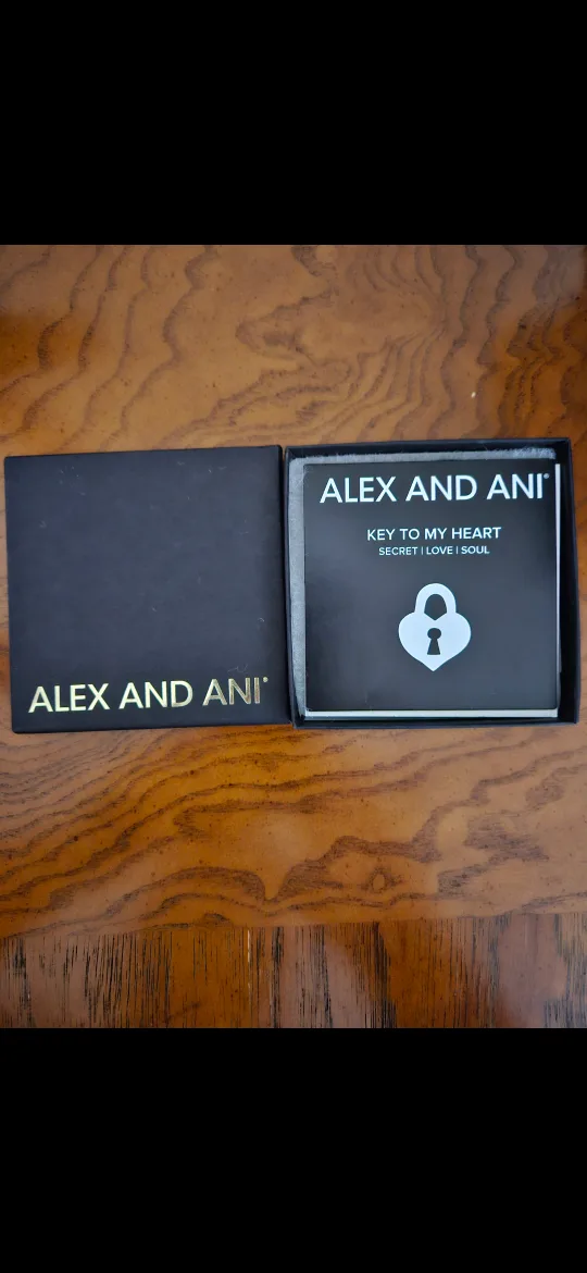 Alex and Ani Key to My Heart Bangle Bracelet image indicator(5)