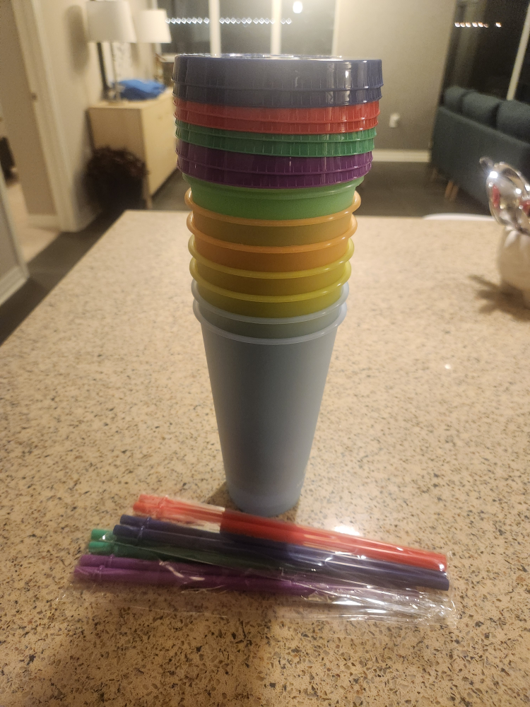 Reusable Tumbler Set with Straws