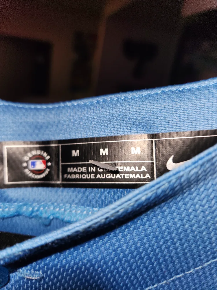 Miami Marlins Rao Baseball Jersey image indicator(3)