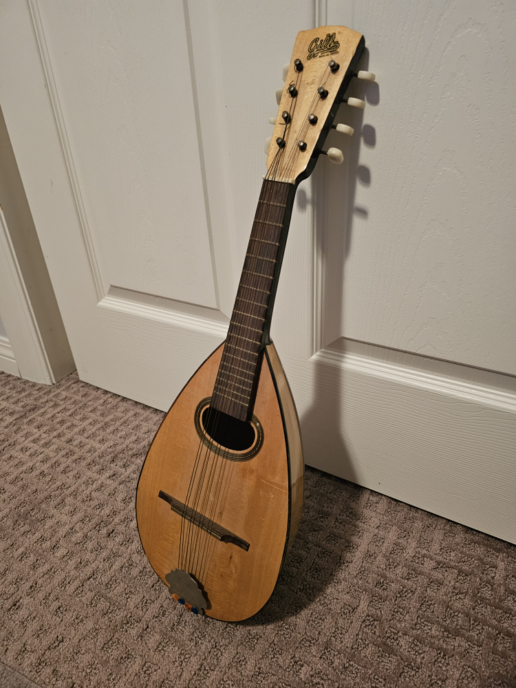 Vintage Gille Mandolin