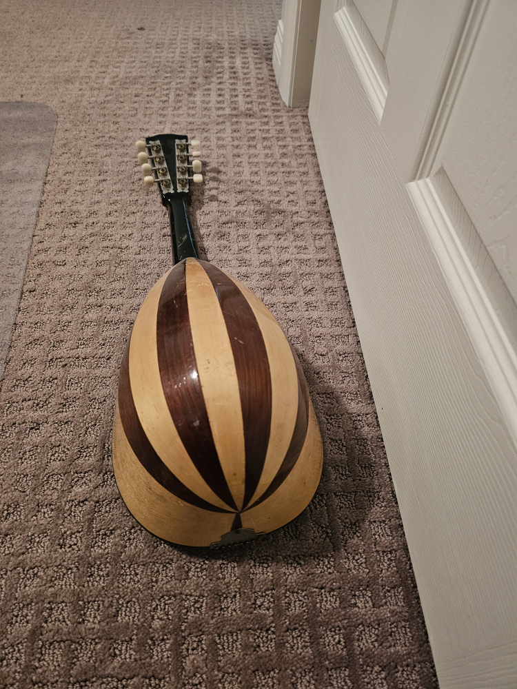 Vintage Gille Mandolin - photo 4