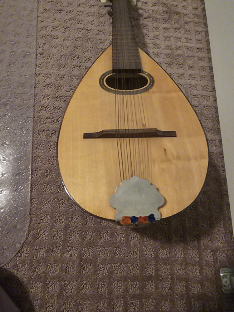 Vintage Gille Mandolin - photo 5