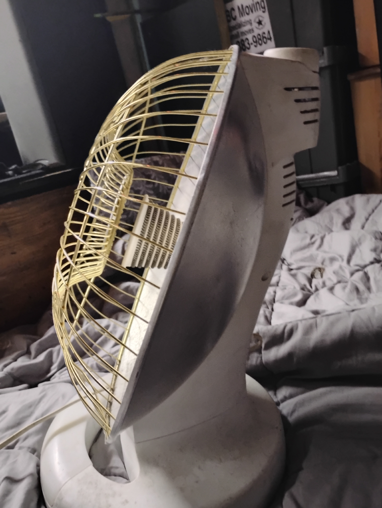 Presto HeatDish plus Footlight Electric Heater - photo 2