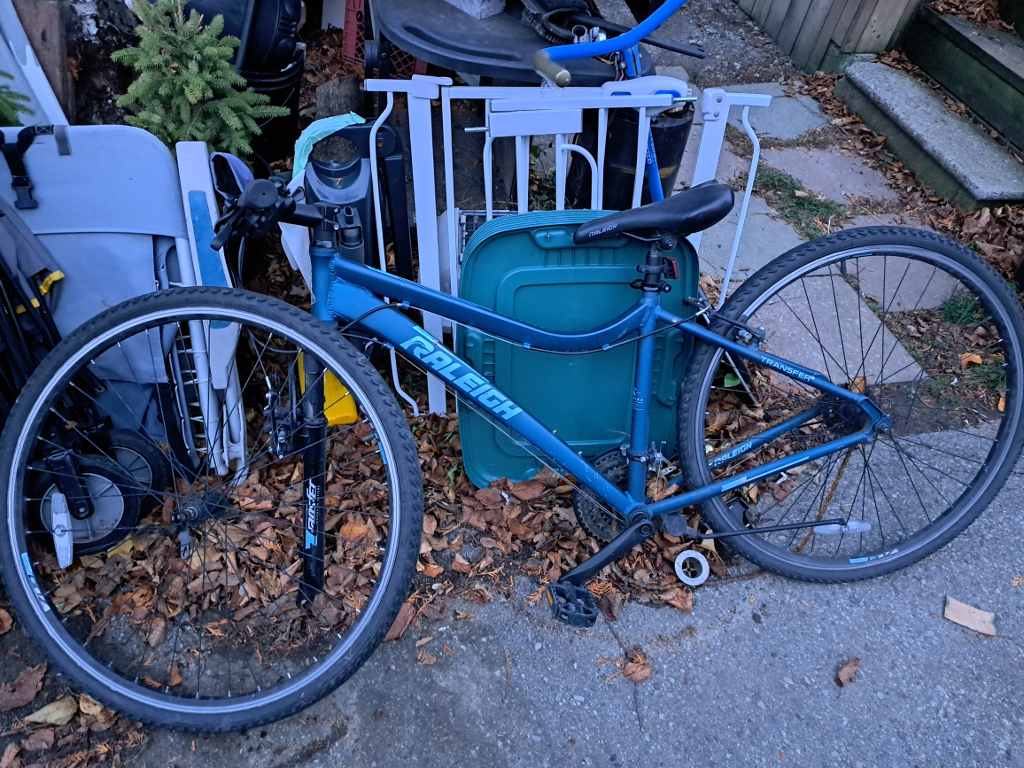 Raleigh women's bicycle