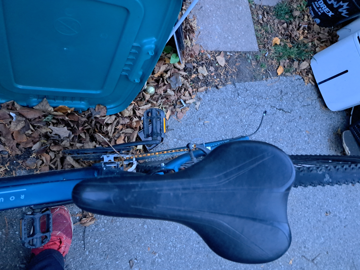 Raleigh women's bicycle - photo 2