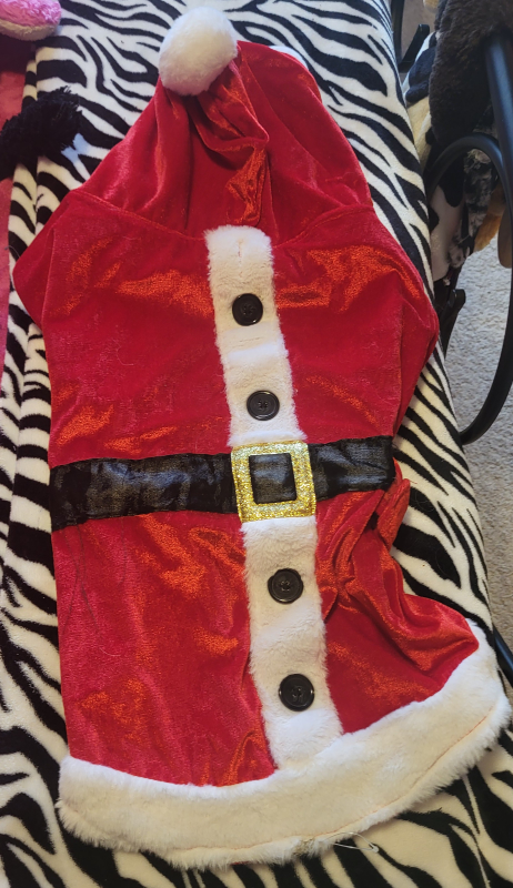 Santa Costume - XL