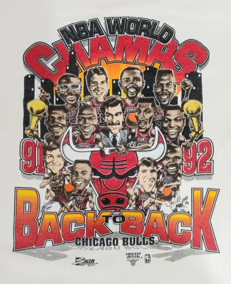 Vintage Chicago Bulls '91-'92 NBA World Champs T-Shirt image indicator(3)