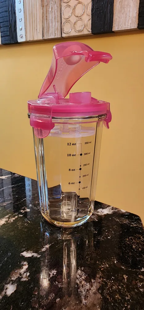 Glass Water Bottle with Fruit Infuser thumbnail