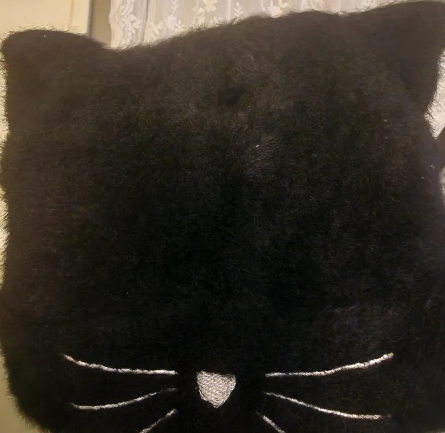 Black Fuzzy Cat hat 🧡 thumbnail